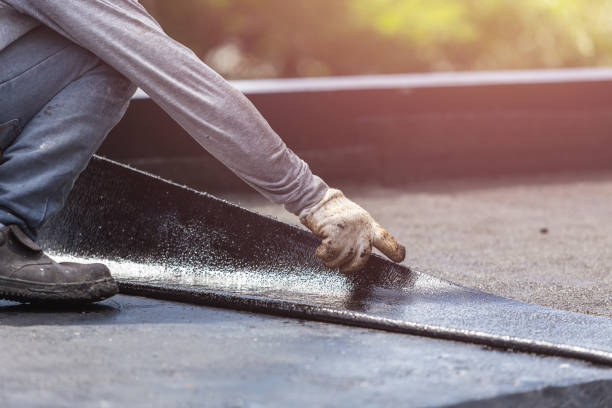 Professional Interior Drainage System technician working in Coloma, WI
